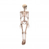 Figura esqueleto halloween 90cm