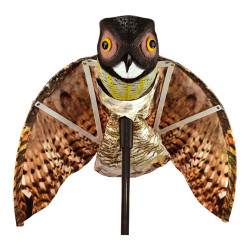 Buho auyenta aves. con alas 80x65cm multicolor. edm