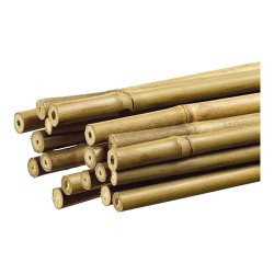Tutor de bambú decorativo color natural ø1,1cm x1,50m nortene