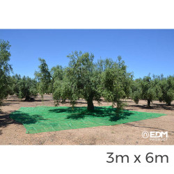 Manto para recolecta de frutos 3x6m color verde